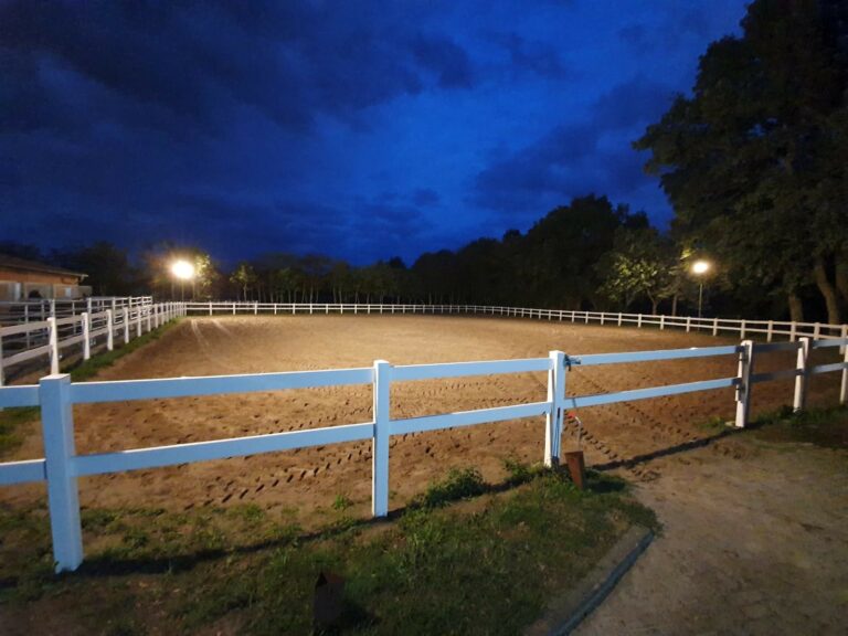 Ebkenhof Reitplatz 768x576