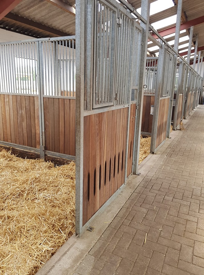 Ebkenhof Stall 12
