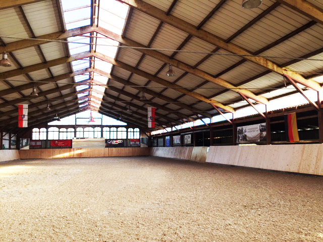 Halle20171 1