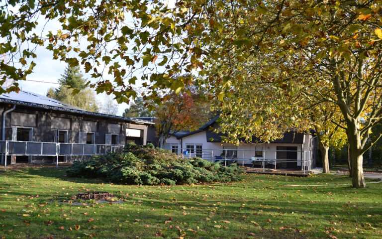 Maria Schacht ueber uns 061 768x480