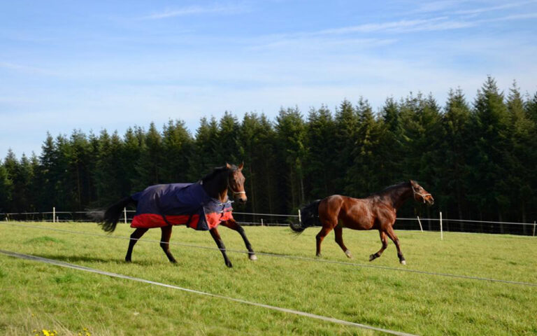 Maria Schacht ueber uns 131 768x480