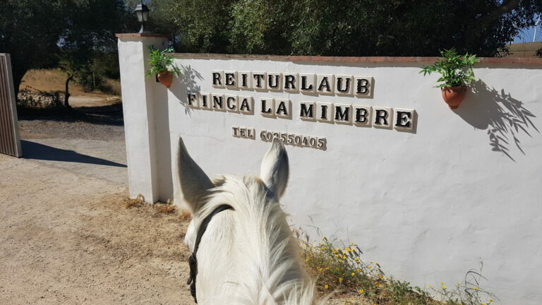 Reiturlaub Finca la Mimbre Reiturlaub Finca la Mimbre