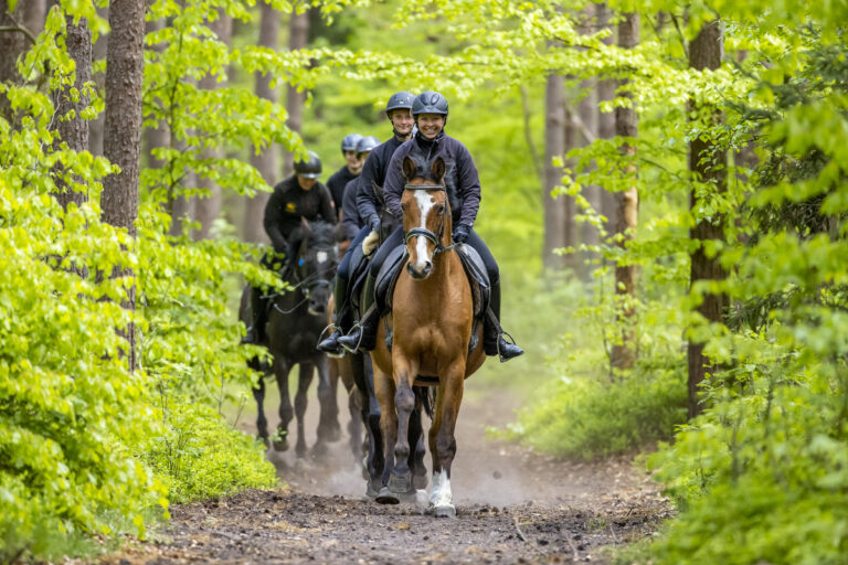 BernsteinreiterHirschburg 2 768x512