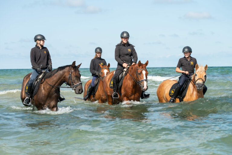 Bernsteinreiter Strandritt 2 768x513