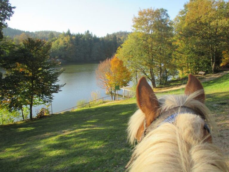 223 4 15760839571 768x576