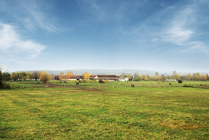 Hof20aus20der20Ferne1