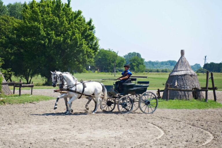 Pusztaprogram2 scaled1 768x511